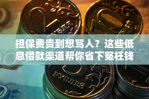 济南担保费贵到想骂人？这些低息借款渠道帮你省下冤枉钱