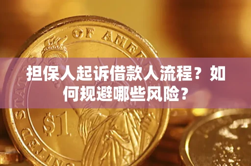 济南担保人起诉借款人流程？如何规避哪些风险？