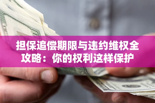 济南担保追偿期限与违约维权全攻略：你的权利这样保护