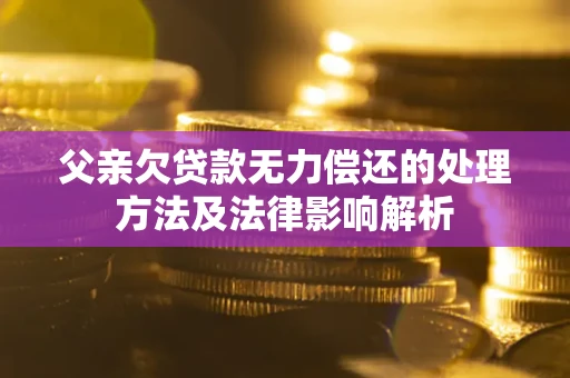 济南父亲欠贷款无力偿还的处理方法及法律影响解析